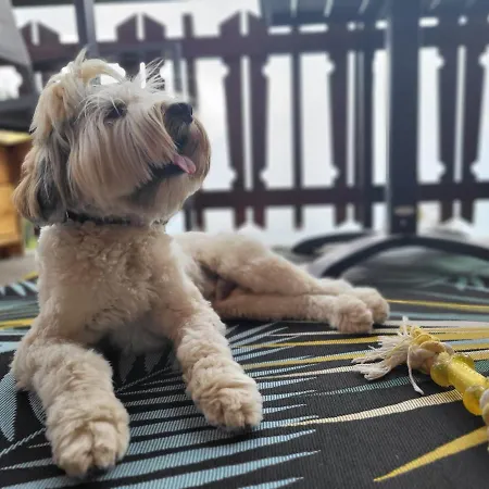 Cosy For 4 Near Lift, Melezes K22 شقة