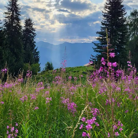 Cosy For 4 Near Lift, Melezes K22