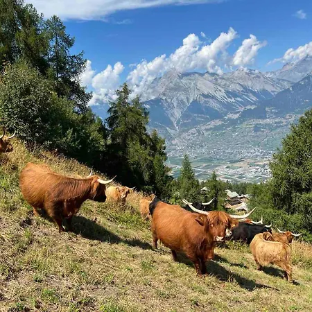 Cosy For 4 Near Lift, Melezes K22 * فييسوناز