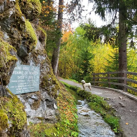 Cosy For 4 Near Lift, Melezes K22 Διαμέρισμα Veysonnaz